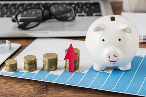 Optimisation budget informatique